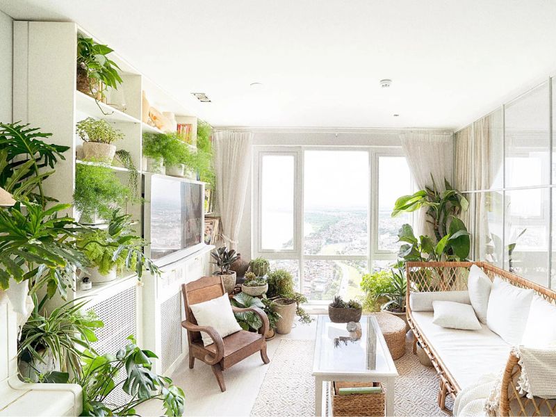 TOP 10 cách trang trí nội thất bằng cây xanh đẹp tự nhiên