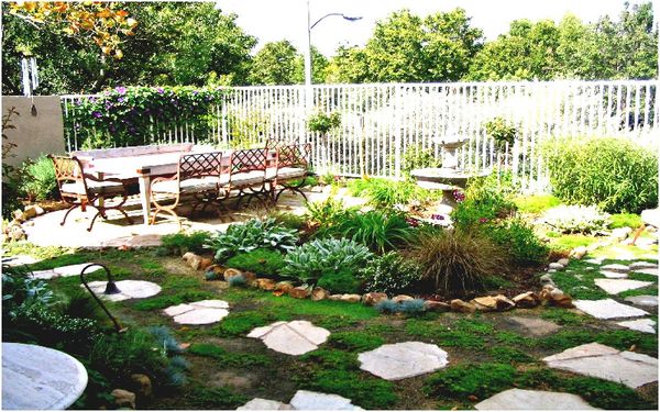 Cách trang trí cây cảnh sân vườn đơn giản và đẹp