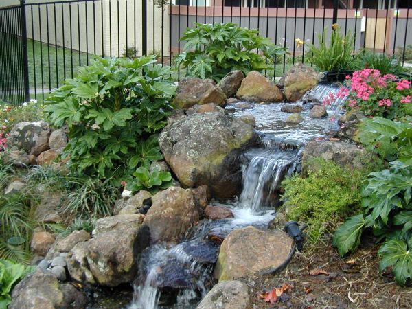 Thiết kế sân vườn với thác nước