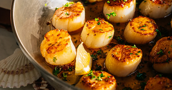 Cách Chế Biến Cồi Sò Điệp Nhật Khổng Lồ