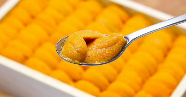 Con Nhum Nhập Khẩu Từ Hokkaido - “Đắt Xắt Ra Miếng”