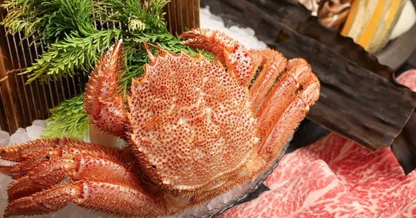 Cua Lông Nhật Bản - Đặc Sản Nức Tiếng Vùng Hokkaido