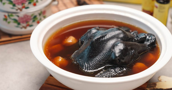 Gà Mặt Quỷ Indo - “Lamborghini” Của Giới Gia Cầm