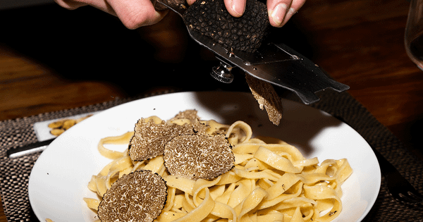 Nấm Truffle Giá Bao Nhiêu? Cách Chế Biến Nấm Truffle Tại Nhà