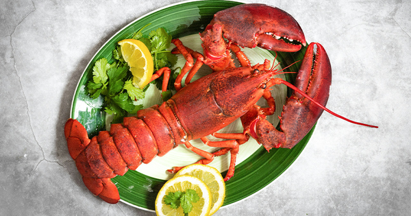 Tôm Hùm Canada Và Công Thức Chế Biến Truyền Thống Xứ Sở Lá Đỏ