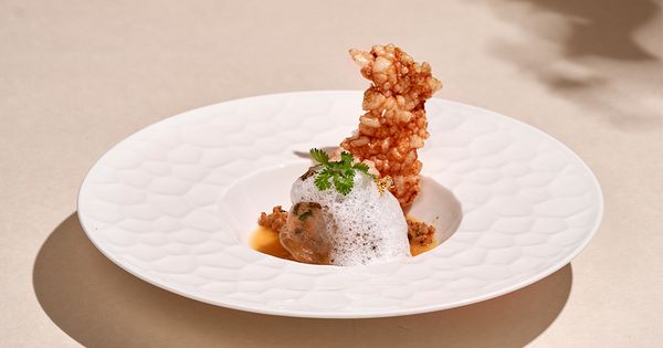 9 Mẹo Trình Bày Món Ăn Đẹp Mắt Từ Các Đầu Bếp Hàng Đầu Tại Mỹ