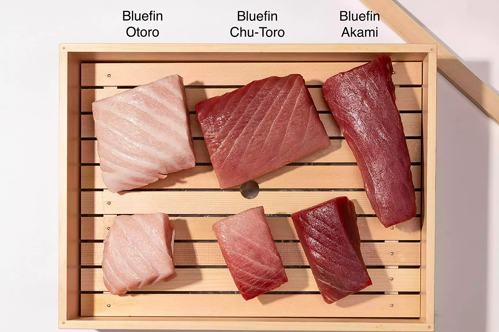 giá cá ngừ vây xanh