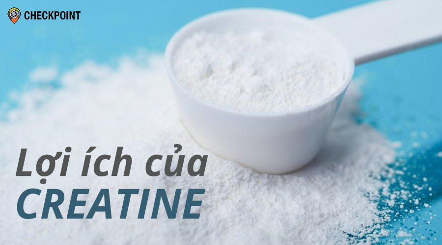 Lợi ích của Creatine với sức khỏe và hiệu suất vận động