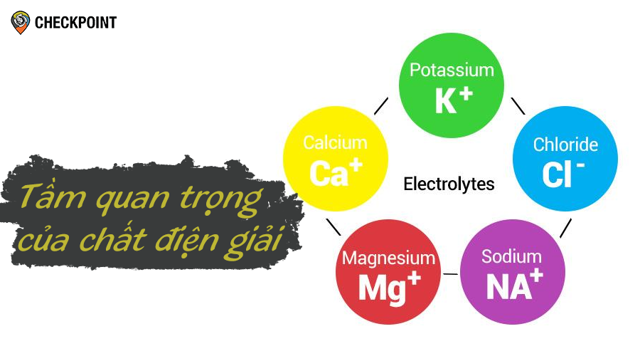 Chất điện giải quan trọng như thế nào?
