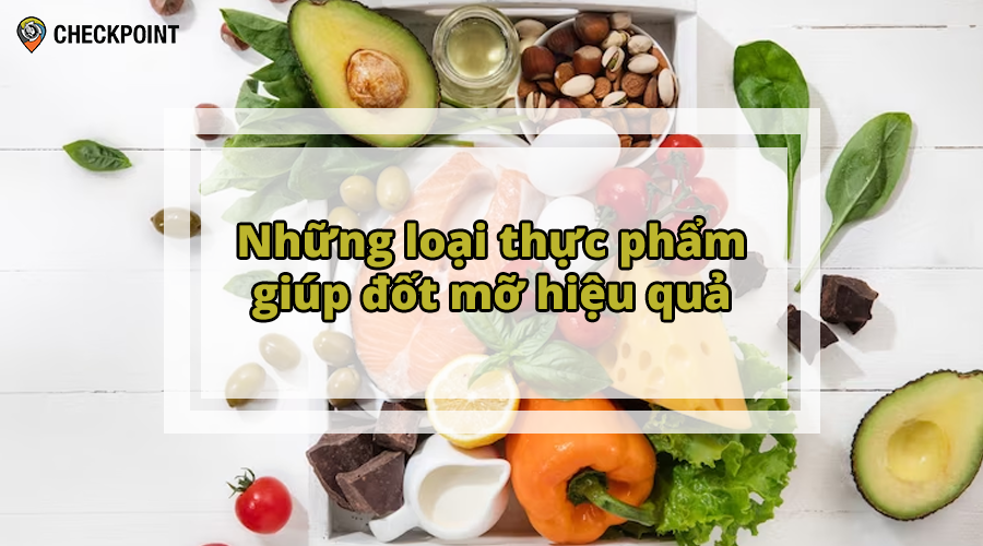 Những loại thực phẩm giúp đốt mỡ hiệu quả