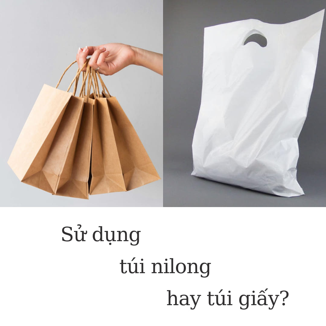 Nên Sử Dụng Túi Nilong Hay Túi Giấy?