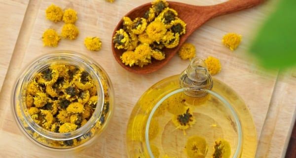 Trà hoa cúc vừa giữ đầu óc tỉnh táo, vừa giúp dễ ngủ?
