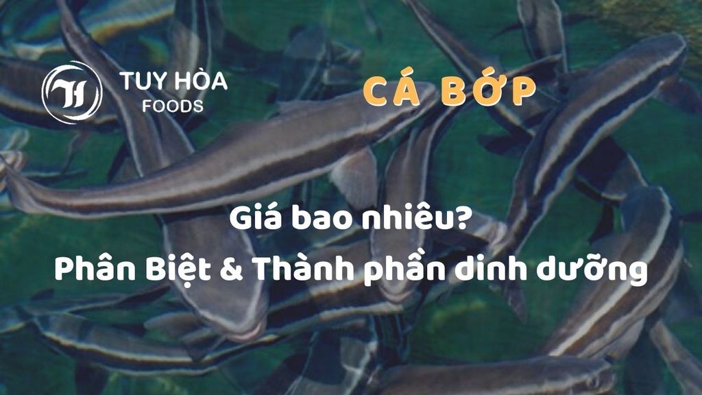 Tập tinCá bóp ở Sài Gòn 1jpg  Wikipedia tiếng Việt