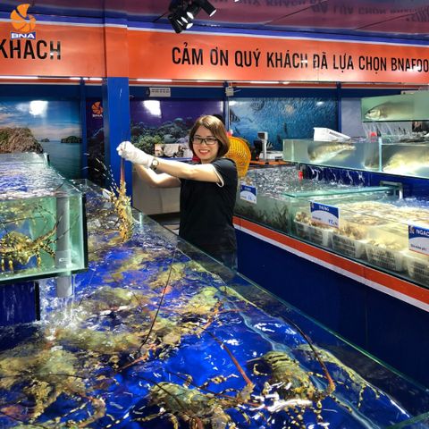 Tôm hùm Bông tươi sống, giá tốt nhất, chất lượng tốt nhất tại Hà Nội