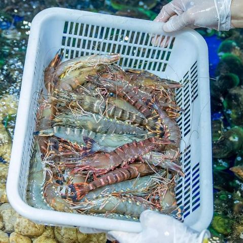 Cách chọn mua loại tôm sú đông lạnh tươi ngon