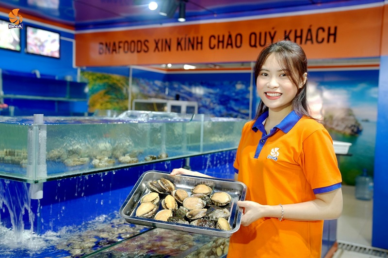 Bào ngư tươi sống BNAFOODS