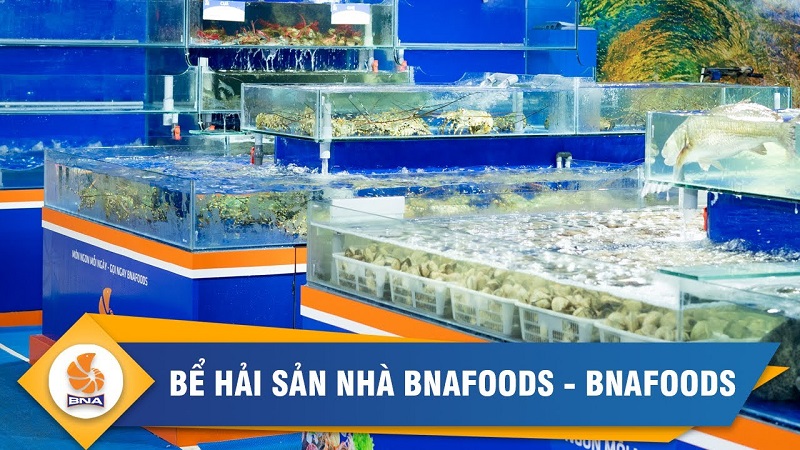 bể hải sản tươi sống BNAFOODS