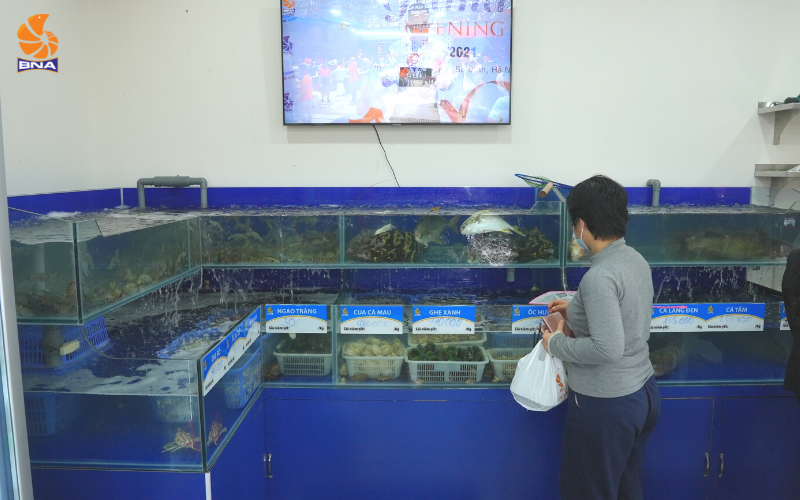 Khai trương BNAFOODS ocean park 2