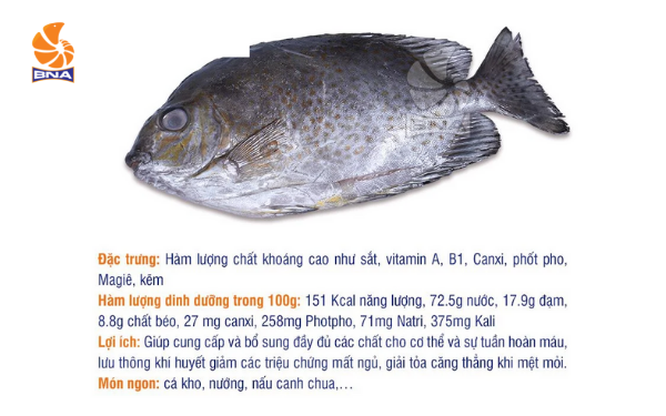 Cá dìa BNAFOODS
