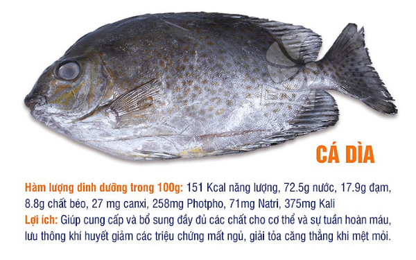 Cá đông lạnh