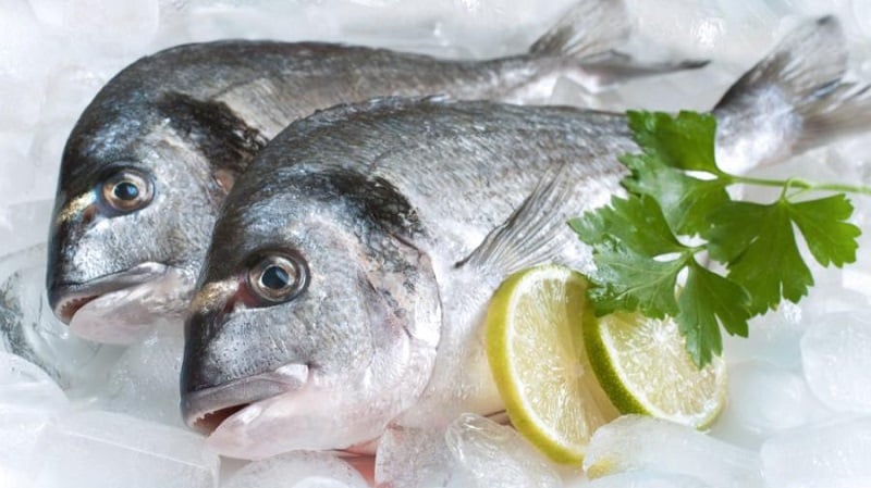 Vua Cá Sông Đà | Số 1 Cách chọn cá tươi ngon chuẩn dân sành ăn 3 Lưu ý giúp bạn mua cá đông lạnh ngon không kém cá tươi – BNAFOODS