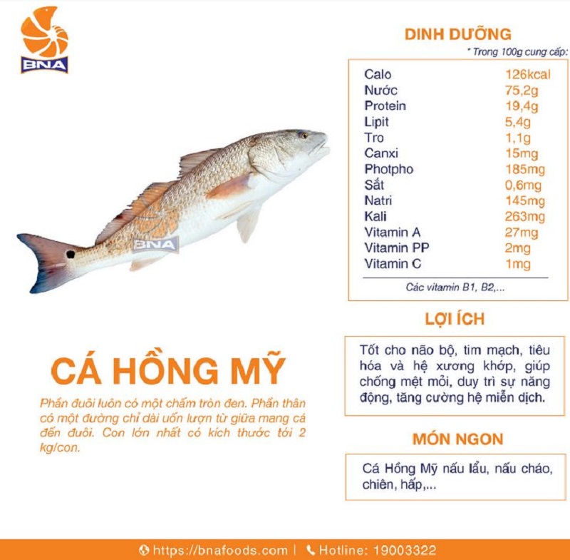 Giá trị dinh dưỡng của cá hồng Mỹ