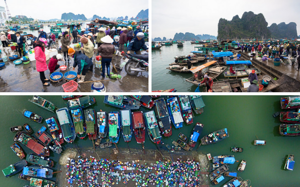 Chợ hải sản tươi sống Quảng Ninh