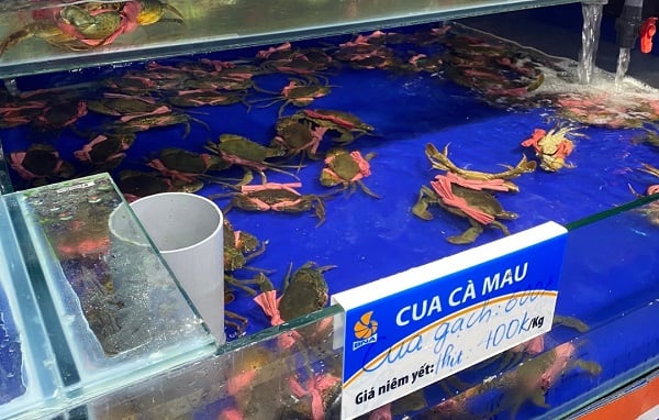Hải sản có công dụng làm đẹp da