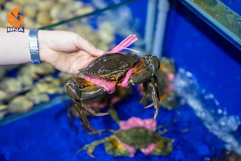 cua sốt ớtSingapore