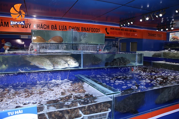 nhà hàng hải sản ngon Hà Nội