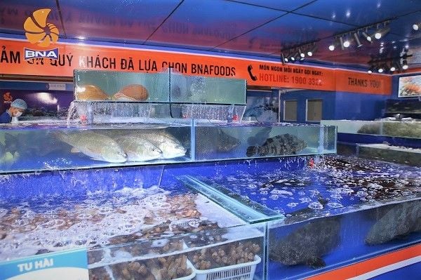 Hải sản tươi sống BNAFOODS