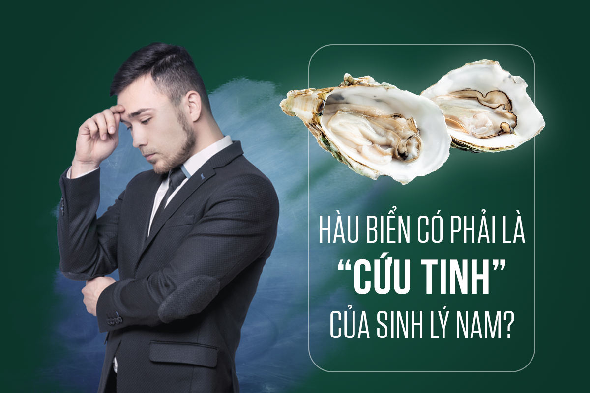 hàu quý tộc