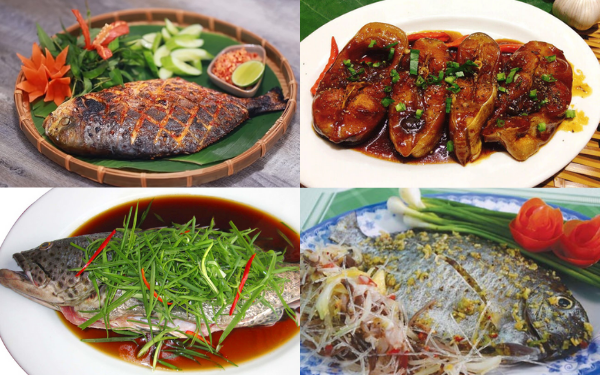 Món ngon từ cá dìa