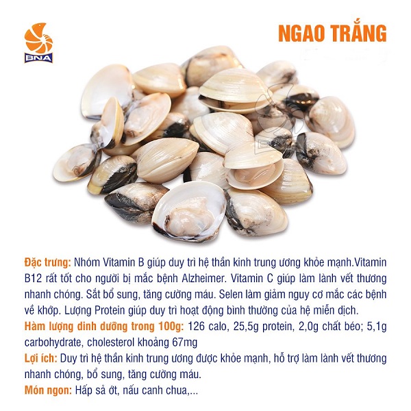 Ngao trắng BNAFOODS