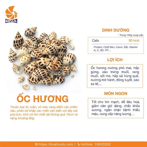 ốc hương sốt trứng muối