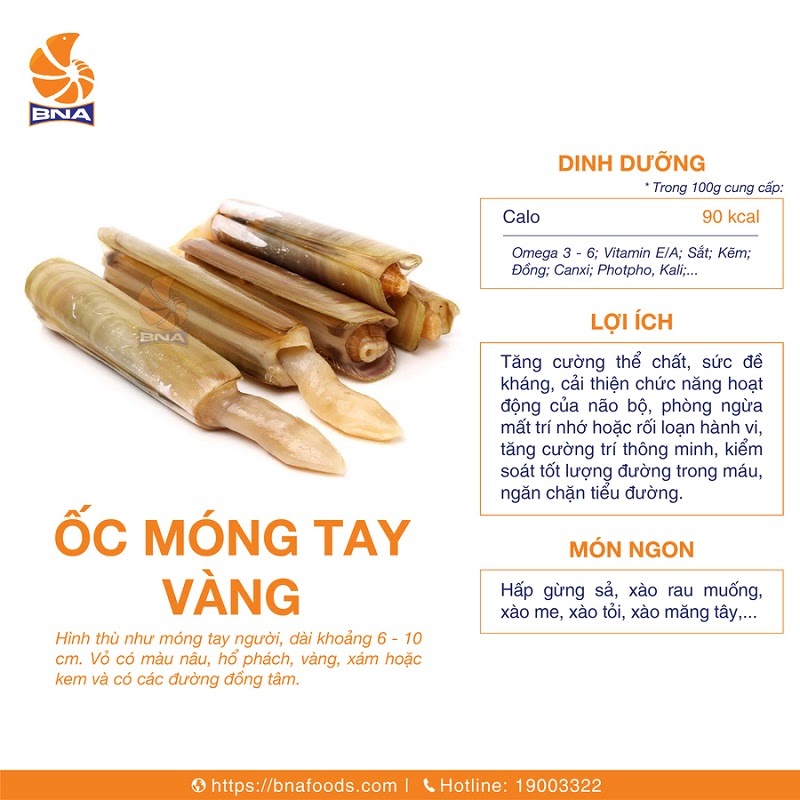 Những món ngon chế biến từ ruột ốc móng tay xanh