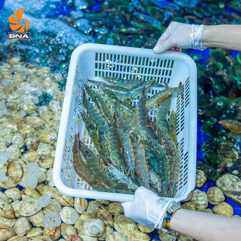 tôm thẻ hấp thái