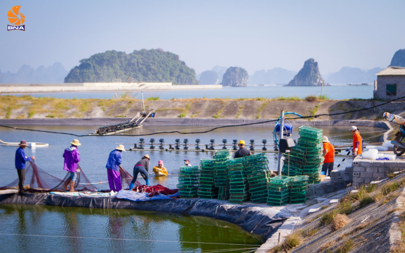 Nhà hàng hải sản