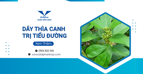 9 Điều Bạn Cần Biết Trước Khi Sử Dụng Dây Thìa Canh Trị Tiểu Đường