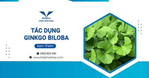 Những Tác Dụng Của Ginkgo Biloba Có Thể Sẽ Giúp Ích Cho Bạn