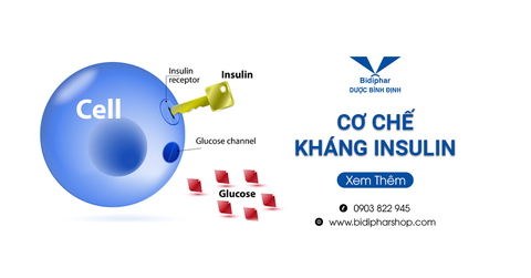 Cơ Chế Kháng Insulin Và Cách Làm Giảm Đề Kháng Insulin Tự Nhiên