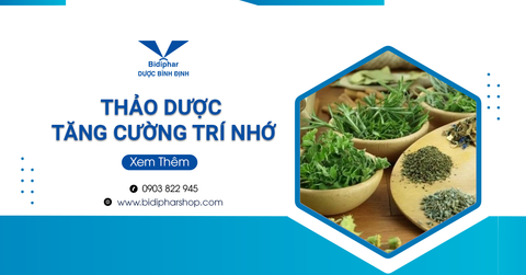 Bách Khoa Toàn Về Thảo Dược Tăng Cường Trí Nhớ