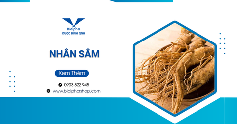 Nhân Sâm Và Tất Cả Những Thông Tin Bạn Phải Nằm Lòng