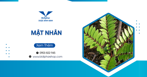 Mật Nhân Có Phải Cây Thuốc Chữa “Bách Bệnh”