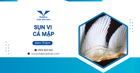 Sụn Vi Cá Mập - 