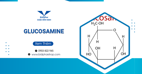 Glucosamine Và Tất Cả Những Thông Tin Bạn Cần Biết