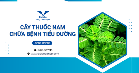 Cây Thuốc Nam Chữa Bệnh Tiểu Đường Dễ Kiếm - Hiệu Quả Nhất