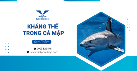 Kháng Thể Trong Cá Mập Có Thể Ngăn Ngừa Virus Sars-Cov-2 Và Biến Thể