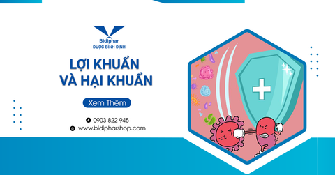 Lợi Khuẩn Và Hại Khuẩn Là Gì? Nguyên Nhân Mất Cân Bằng?