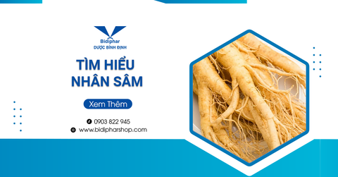 Nhân Sâm Tính Hàn Hay Tính Nhiệt? Ai Nên Dùng, Nên Tránh?